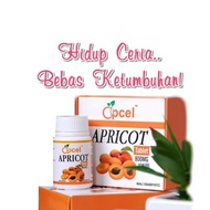 💥Vitamin B17 Aprikot💥