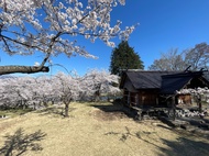 Iiyama Castle Ruin Park and Nozawa Onsen Morning Tour