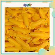 Screwed plastic arowana fishing toy for children