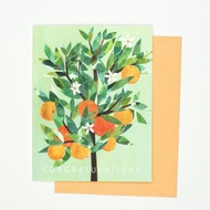 Congratulations Card - My Sweet Orange Tree