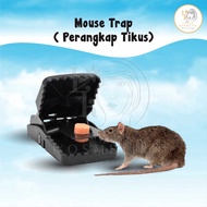 Mouse TRAP | Rat TRAP | Miki TRAP RAT TRAP TRAP