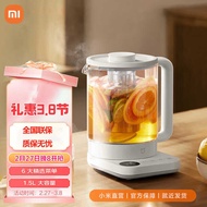 Mijia Multifunctional Health Kettle N1 Electric Kettle Kettle/Small.Mi DGNYSH01RS