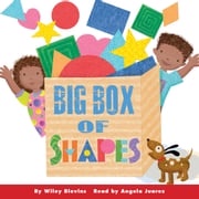 Big Box of Shapes Wiley Blevins