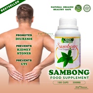 Sambong Capsule Herbal 500mg All Natural Organic Diuretic and Kidney  Care Prevents Kidney Stones & 