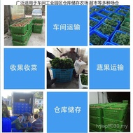 Vegetable Material Plastic Vegetables Fresh with Ears Fruit Frame Turnover Delivery Iron Frame Hollo