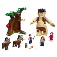 LEGO樂高 哈利波特系列禁忌森林 75967