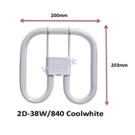 Wiselite 2D Single-Capped Square Fluorescent Lamps Coolwhite