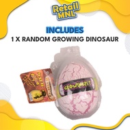 Retailmnl Hatching Egg Dinosaur Grow Your Own Pet Kids Toys For Boys Kids Toys For Girls (RANDOM)