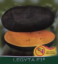 Benih Bibit Tanaman Buah Semangka Inul Kuning Oranye Legyta F1