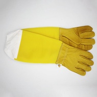 Honey Bee Gloves/A Pair Of Honey Bee Gloves