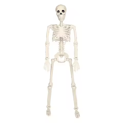 26NEW1PC Halloween Skull Skeleton,Posable Skeleton,Human Shape Bones,Home Halloween Party Decoration