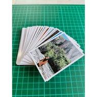 Gambar Polaroid Murah