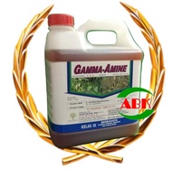HALEX GAMMA-AMINE (4L)