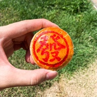 壹家手工豆沙饼 YI JIA Handmade Salted Green Bean Pastry (5pcs / 10pcs)