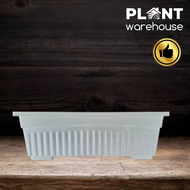 Plant Warehouse PH  Plastic Rectangular Pots for Indoor Outdoor Garden (27.5 cm x 13 cm x 9 cm )  - Pots for Plants Big / Garden Pots Rectangular / Plastic Rectangle Garden Pots / Garden Pots on Sale / Garden Pots Wholesale / Garden Pots Small Size