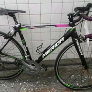 Merida scultura 300