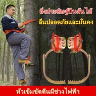 อุปกรณ์ปีนต้นไม้ อุปกรณ์ปีนเสาไม้ รองเท้าปีนต้นไม้อุปกรณ์ปีนต้นไม้ อุปกรณ์ปีนเสาไม้ รองเท้าปีนต้นไม้