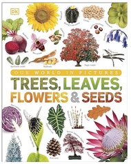 Our World in Pictures: Trees, Leaves, Flowers & Seeds: A visual encyclopedia of the plant kingdom – 