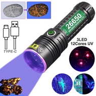 UV Light Ultra Violet 365nm LED Flashlight Torch Blacklight USB Inspection Lamp