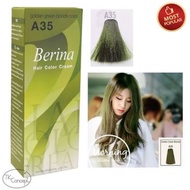 1 x Berina A35 Hair Dye Set