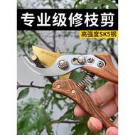 Pruning Shears Gardening Shears Pruning Shears Branches Special Garden Pruning Fruit Tree Pruning Fl