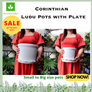 TGH Corinthian Ludu white pots with catch plate for plants small to big sizes pots with plate for cactus and succulents orchids best pot for indoor and outdoor plants pots