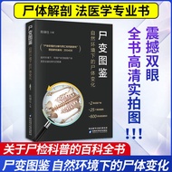 Corpse Change Illustrated Book Natural Environment's Corpse Change Corpse Anatomy Specification Law 