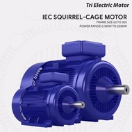 TRI ( IE2 ) 0.5hp ( 0.37kw ) x 4pole ( rpm1340 ) x 3phase Aluminium Foot Mounted B3 IP55 415v/50hz T