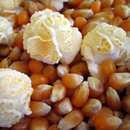 POPCORN MUSHROOM KERNEL BERTIH JAGUNG POPCORN MUSHROOM POP CORN