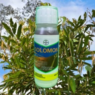 [ORIGINAL] 500ml SOLOMON BAYER RACUN SERANGGA PEROSAK Thrips/ whitefly