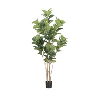 Artificial Fiddle Leaf Fig 180 cm - ต้นไทรใบสักเสมือนจริง สูง 180ซม. ต้นไม้ปลอมเกรดพรีเมี่ยมเพื่อการ
