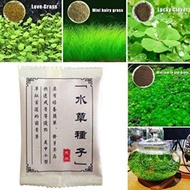 🔥Ready Stock🔥Aquarium Plant Seed Akuarium Water Grass Carpet Plant Aquatic Plants