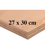 27 x 30 cm Premium Marine Plywood