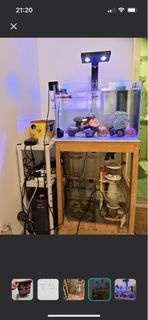 海水魚缸連濾桶、燈、冷水機