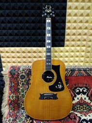 Ibanez Artist Acoustic Guitar