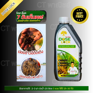 โดส ล็อค (DOSE LOCK)” นวัตกรรมน้ำหมักอินทรีย์แท้ 100% จบปัญหาข้าวดีด