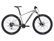 2021 Giant Talon 2, 29er MTB, Mountain Bike, basikal, bicycle