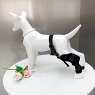 New pet dog protector dog knee rehabilitation with leg joint protection dog hind leg protection leg 
