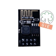 ESP8266 ESP-01 Wifi Module