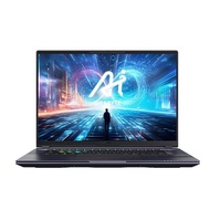 GIGABYTE 技嘉 技嘉  AORUS 16X AKG-53TWC94SH 星夜灰(無鼠/16"/i7-14650HX/16G/RTX4060 8G/1T SSD/165Hz/W11)電競筆電(福