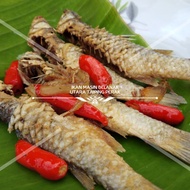 Ikan Belanak Masin / Masam Original Utara Muslim Homemade