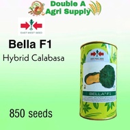 ♞,♘,♙Bella F1 Hybrid Calabasa - East West Seed