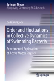 Order and Fluctuations in Collective Dynamics of Swimming Bacteria Daiki Nishiguchi