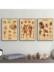 3入組復古解剖和生理海報,身體結構藝術海報,復古牛皮紙壁畫油畫,適用於學習客廳醫務室臥室辦公室酒吧俱樂部牆面裝飾,不含相框