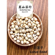 Lotus Seed / Bai Lian Zi / 白莲子 (1kg)