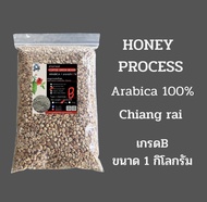 เมล็ดกาแฟดิบ/เมล็ดกาแฟสาร Honey process อาราบิก้าแท้100% เกรดB จากดอยก้าจออาข่าห้วยแม่เลี่ยม ห้วยชมภ
