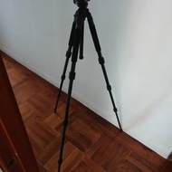 INDURO Carbon 8x CT114 碳纖維三腳架 (...