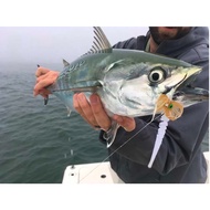 Magnum Dragon Tails/8''-9" long/5pcs /fly tying material