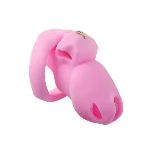 Pink SM Eagle Eye Silicone Chastity Device Boyfriend Abstinence Artifact Boyfriend Gift Comfortable 