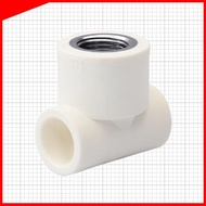 Westpex Tee drat In PPR Pipe 3/4 inch to drat 1/2 (H 25x1/2F)